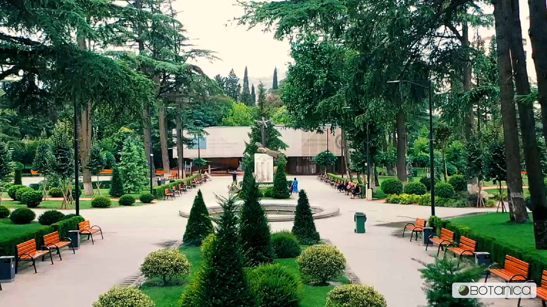 კიკვიძის პარკი